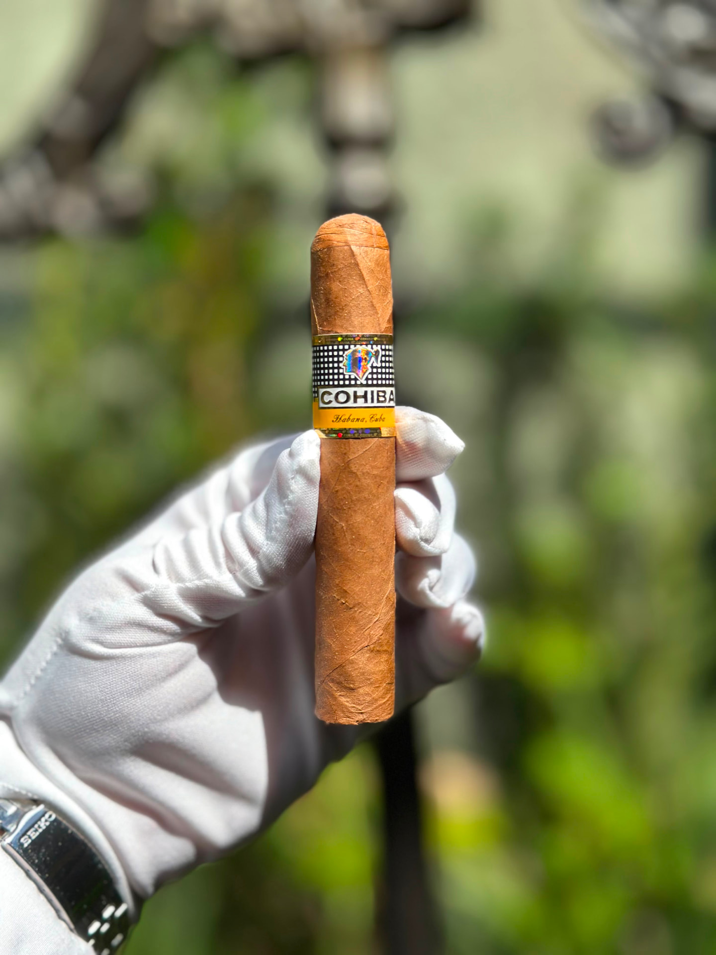 Cohiba