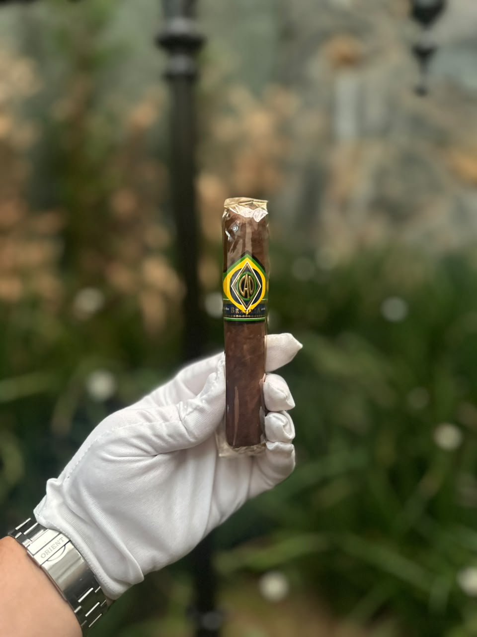CAO Brazilia Gol!